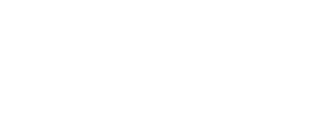 Norfolk Iron and Metal Logo